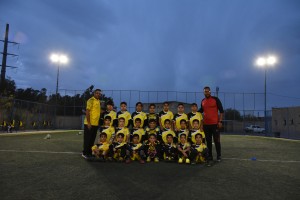 gallery-image
